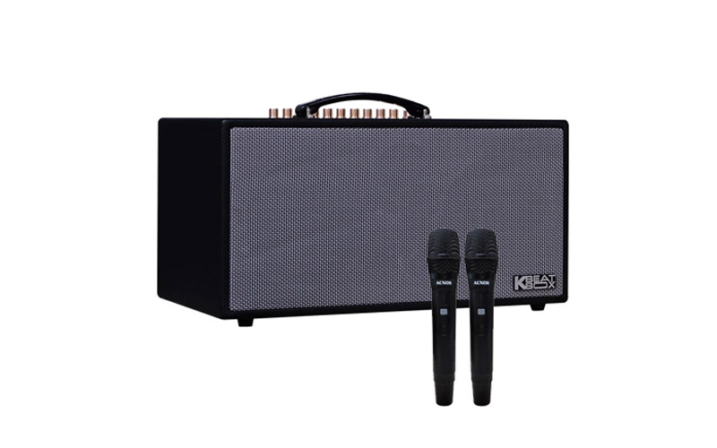 Loa Di Động Hát karaoke Cực Hay ACNOS NL4501 - anhduyen audio 1