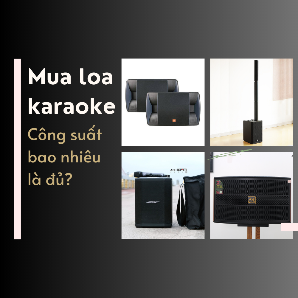 mua-loa-hat-karaoke-cong-suat-bao-nhieu