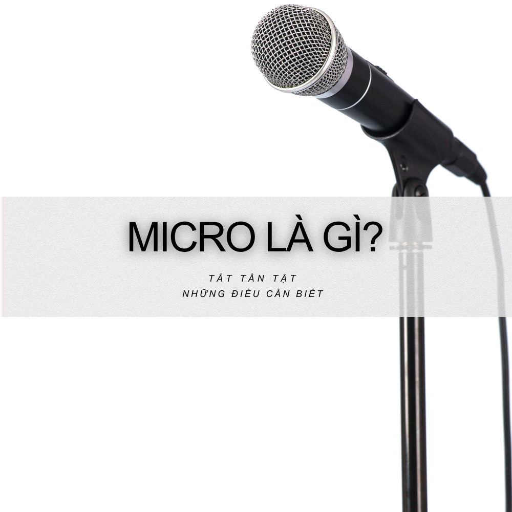 micro-la-gi