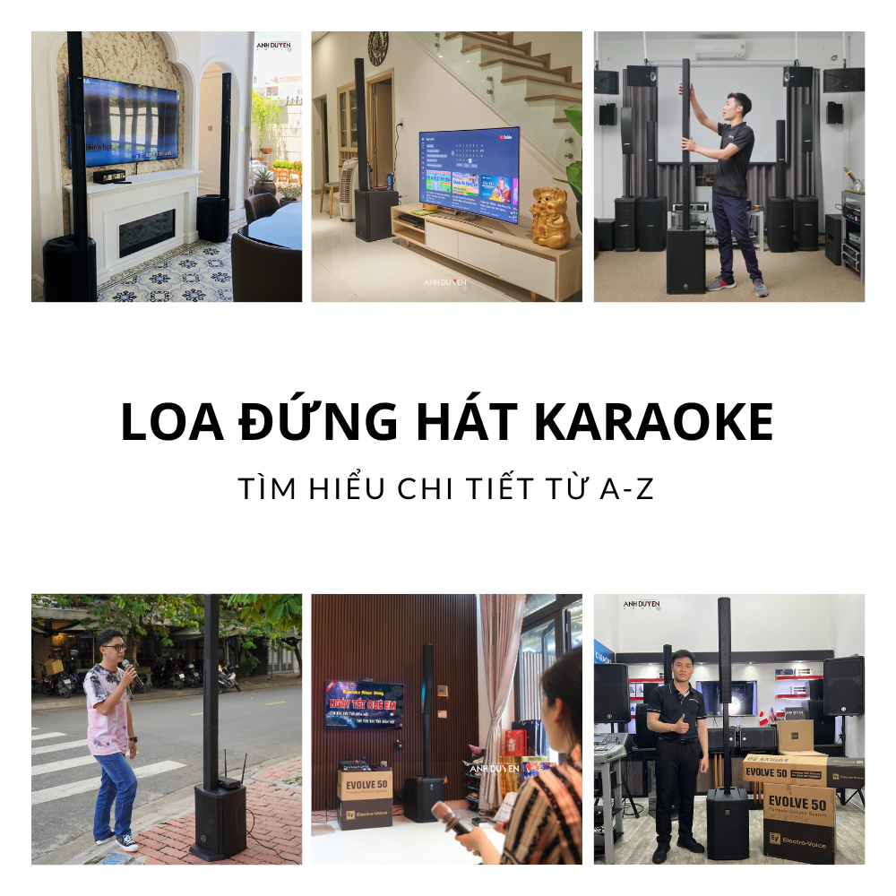 loa-cay-hat-karaoke