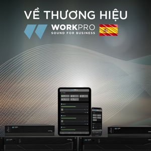 work-pro-audio-thuong-hieu-anhduyen-audio