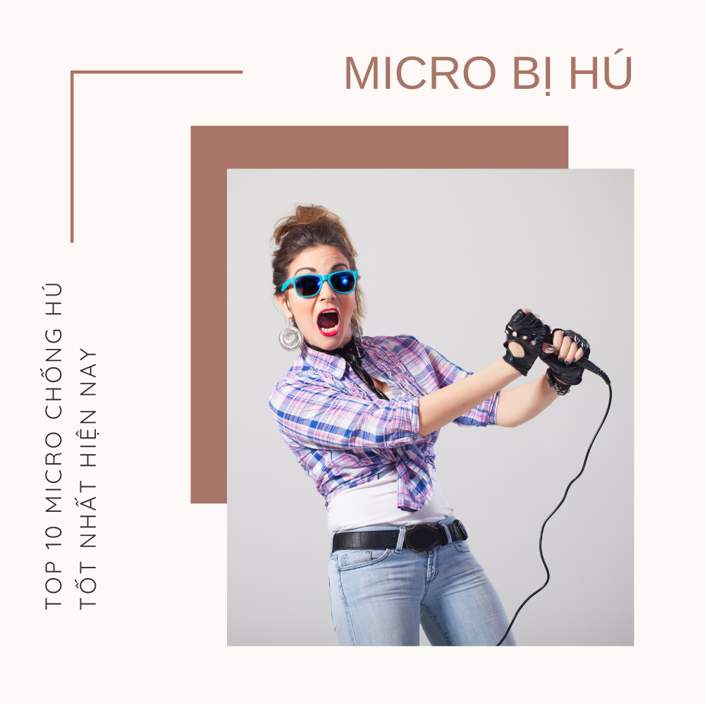 micro-bi-hu