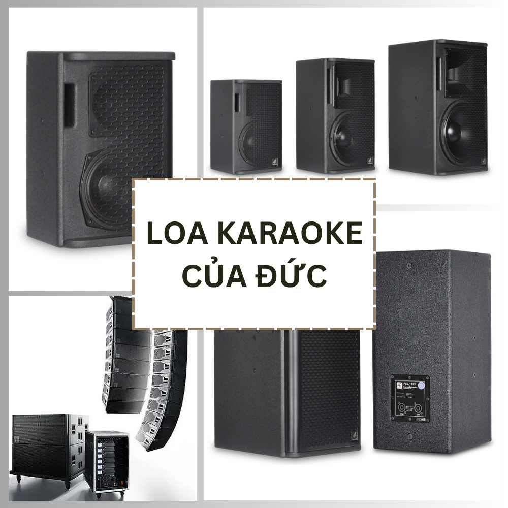 tu-van-mua-loa-karaoke-cua-duc