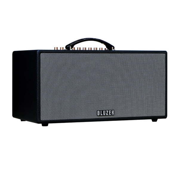 loa-bluzek-bz450plus-hinh-2