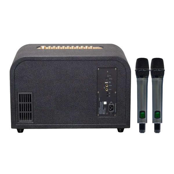 loa-acoustic-3-compact-hinh-4