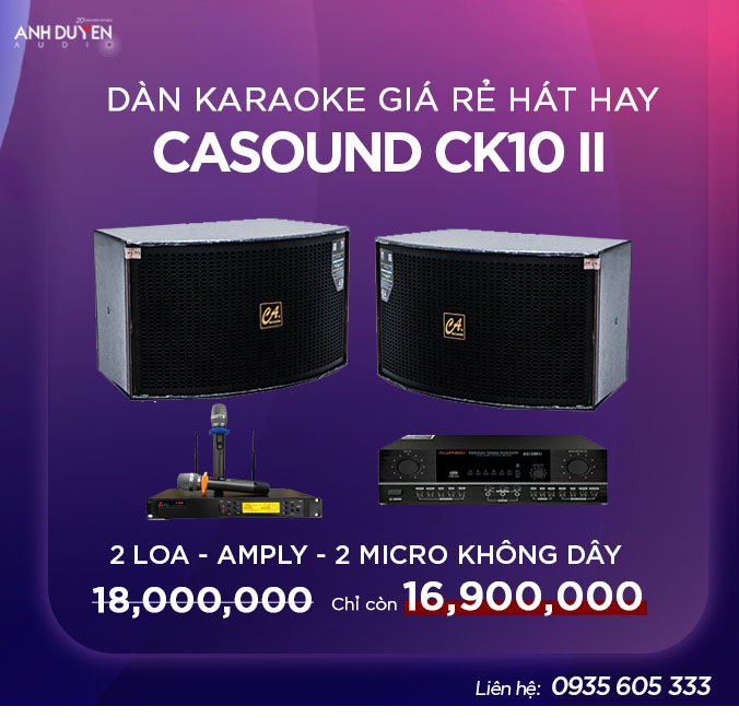 dan-karaoke-da-nang-casound-ck10-ii-gia-tot-nhat-anhduyen-audio-1