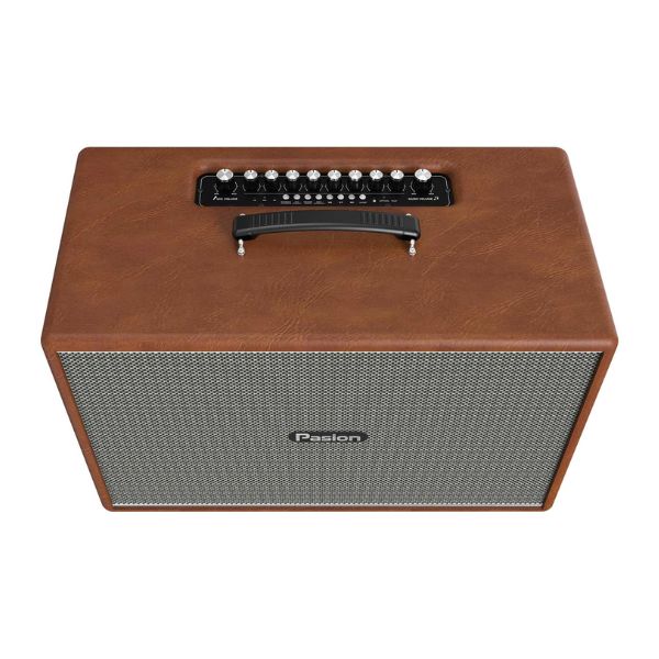 loa-pasion-mozo-anhduyen-audio-hinh-3