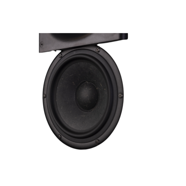 loa-procella-p6v-mk2-avs-anhduyen-audio-3