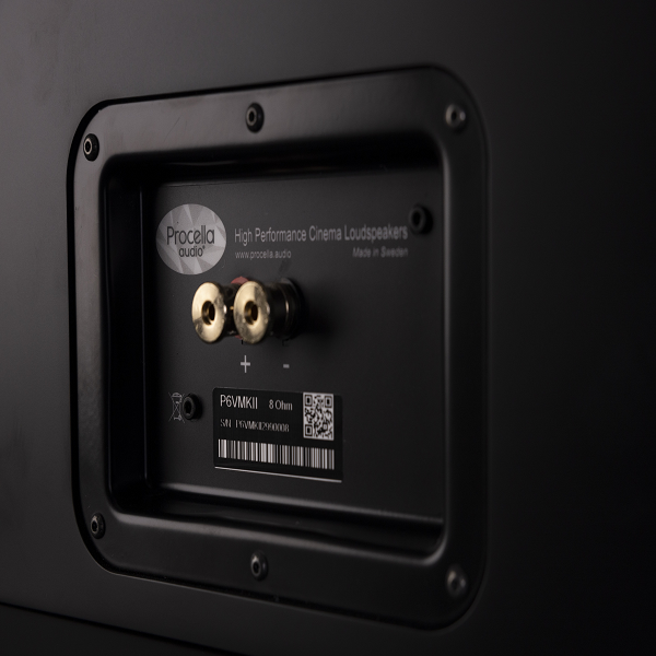 loa-procella-p6v-mk2-avs-anhduyen-audio-4