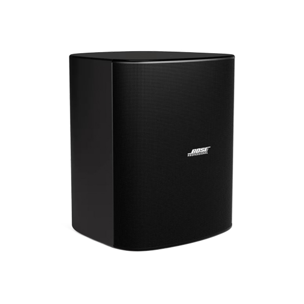bose-designmax-dm12se-hinh-1