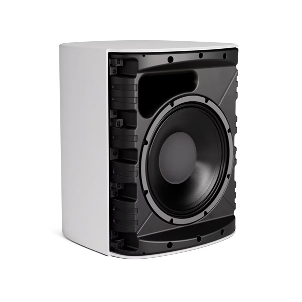 bose-designmax-dm12se-hinh-4