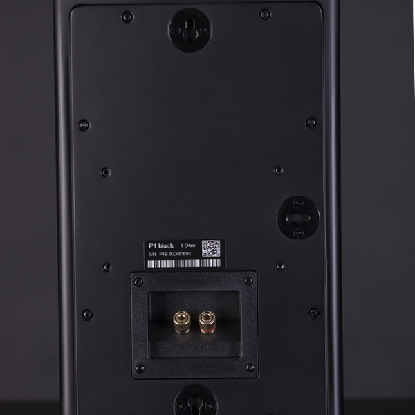 loa-procella-p1-avs-anhduyen-audio-4
