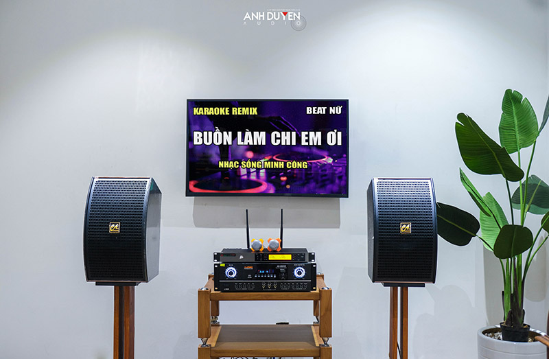 loa-karaoke-casound-ck10-ii-anhduyen-audio-10