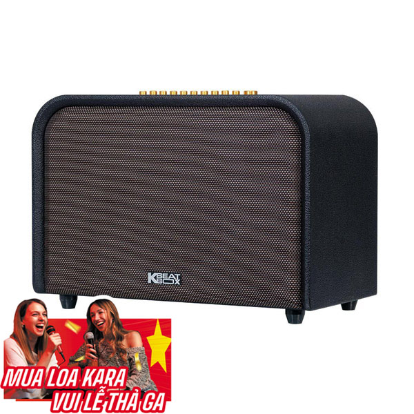 loa-acnos-acoustic-3-hinh-gia-tot-nhat-anhduyen-audio