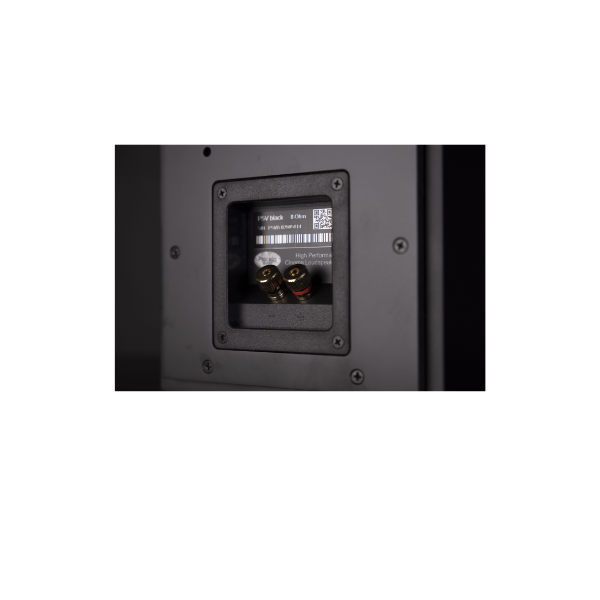 loa-procella-p5v-avs-anhduyen-audio-2