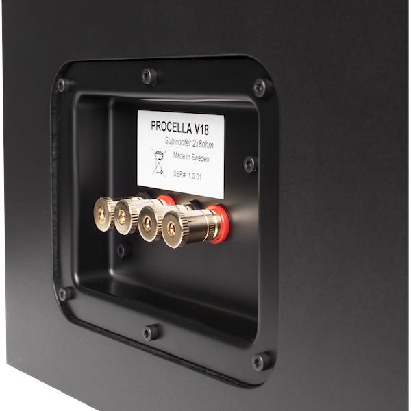 loa-procella-v18-avs-anhduyen-audio-5