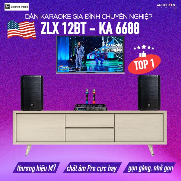 ava-dan-karaoke-gia-dinh-chuyen-nghiep-ev-zlx12bt-ka-6688-anhduyen-audio