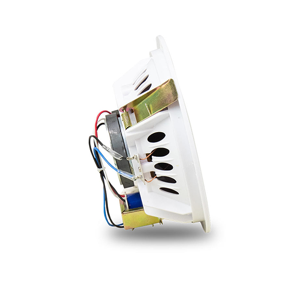 loa-ams-amt-6-esp-anhduyen-audio-hinh-3