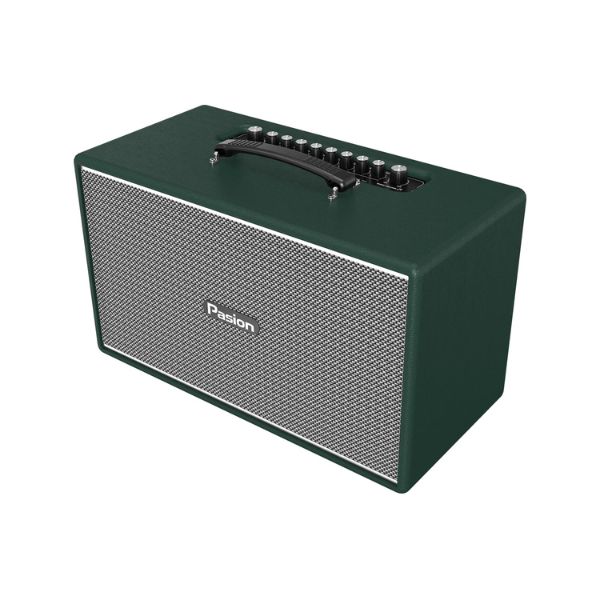 loa-paramax-pasion-enzo-anhduyen-audio-hinh-3