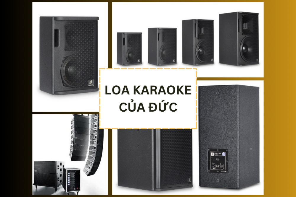 loa-karaoke-cua-duc