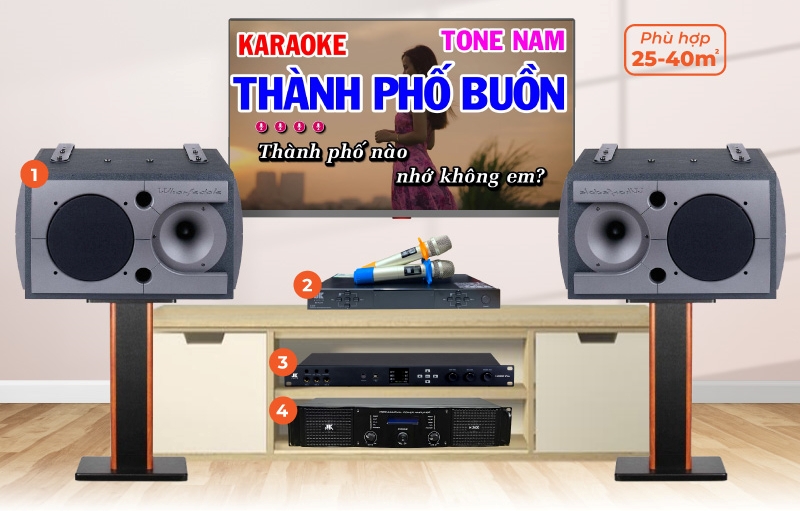 dan-karaoke-gia-dinh-20-trieu-14