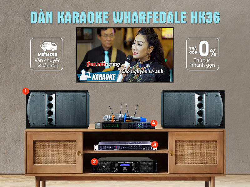 dan-karaoke-gia-dinh-20-trieu-15