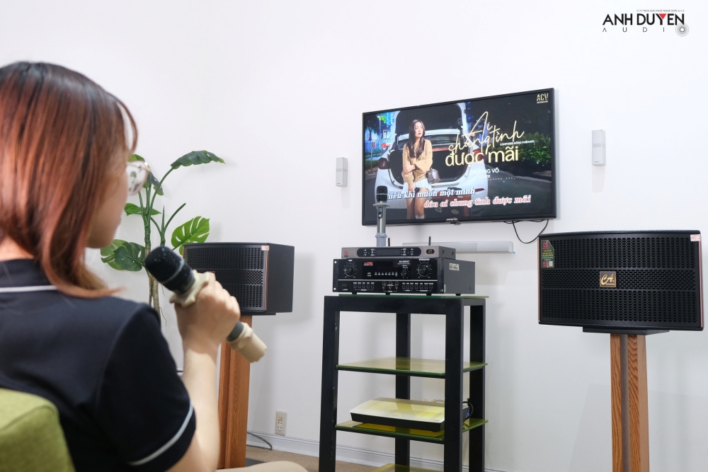 dan-karaoke-nguyen-bo-casound