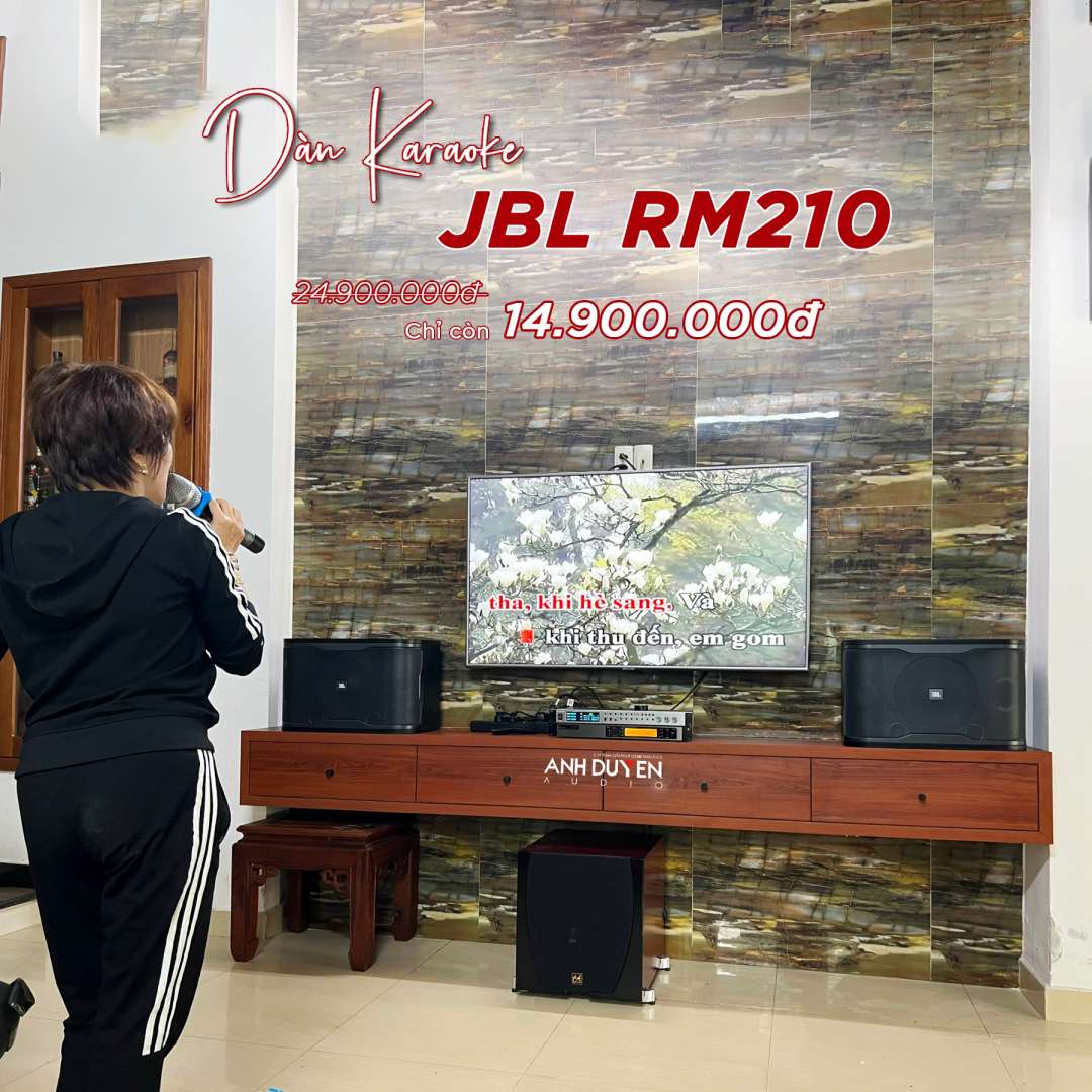 dan-karaoke-jbl-rm210