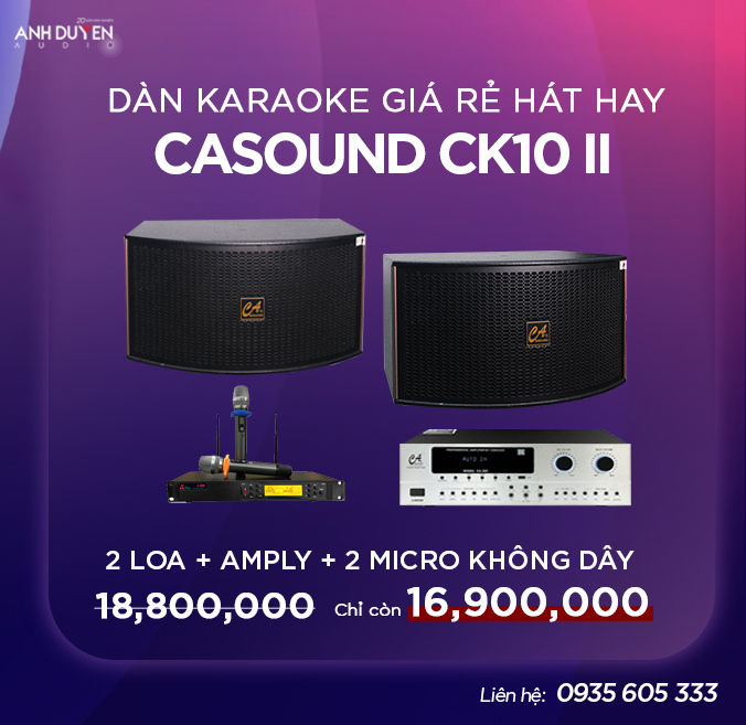 dan-karaoke-tet-2024-so-2-casound-ck10-ii