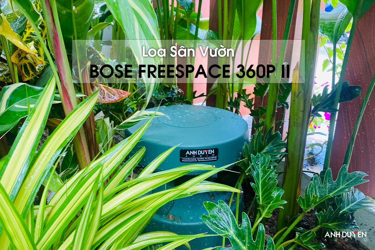 loa-san-vuon-bose-freespace-360p-ii