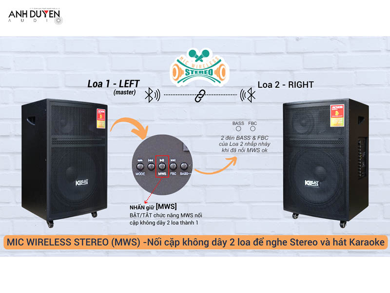 loa ACNOS CB605PRO giá rẻ chính hãng