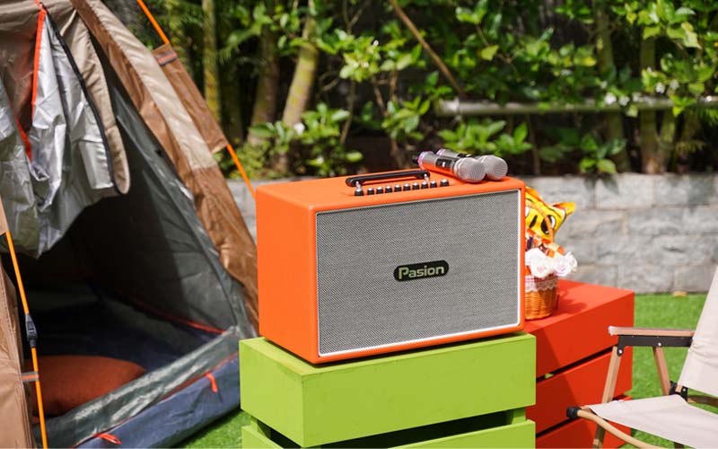 Loa PASION Outro Chính Hãng ở đà nẵng