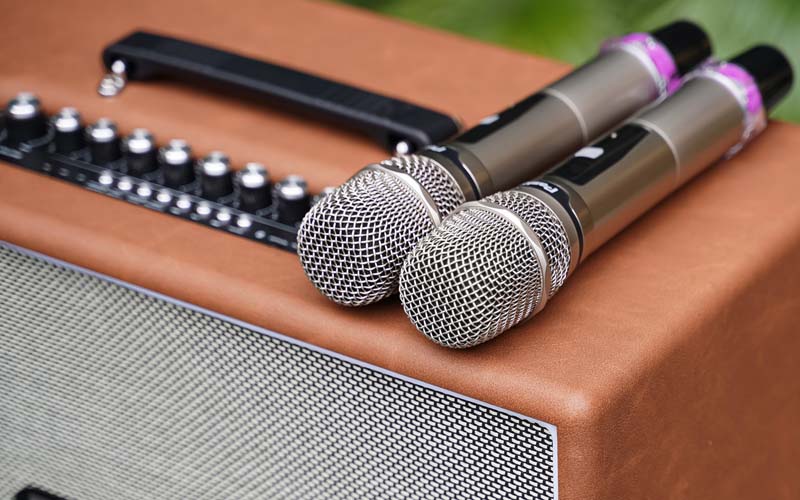 Loa PASION Outro Chính Hãng ở đà nẵng