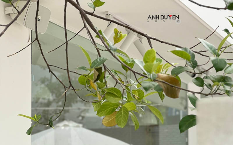 Loa Alpha Works AW52 giá tốt nhất - anhduyen audio 4