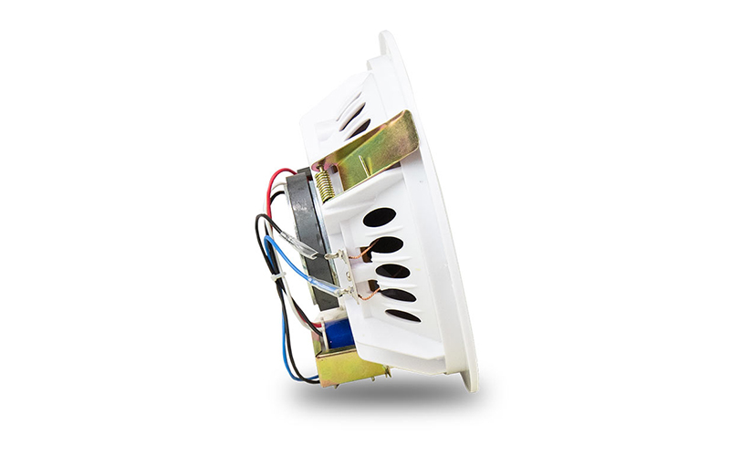 Loa AMS AMT 6 ESP Chính Hãng tại đà nẵng