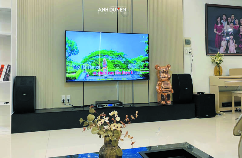 amply Casound CK10 MKIII - anhduyen audio 19
