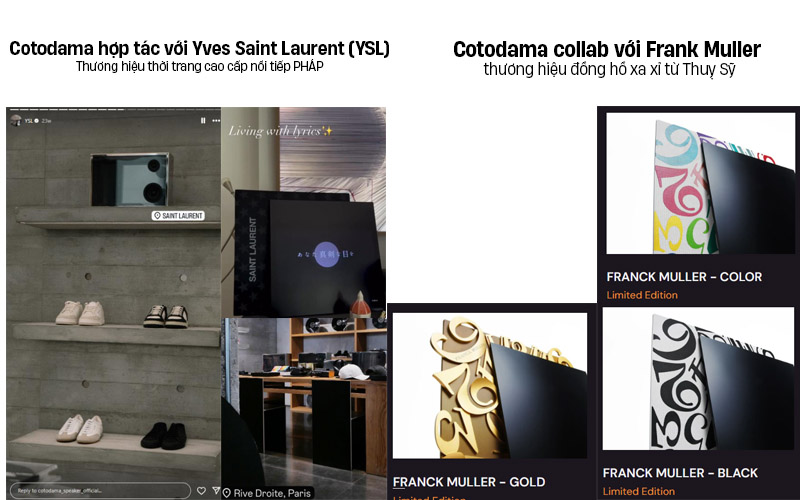 Cotodama hợp tác với YSL, Frank Muller... anhduyen audio