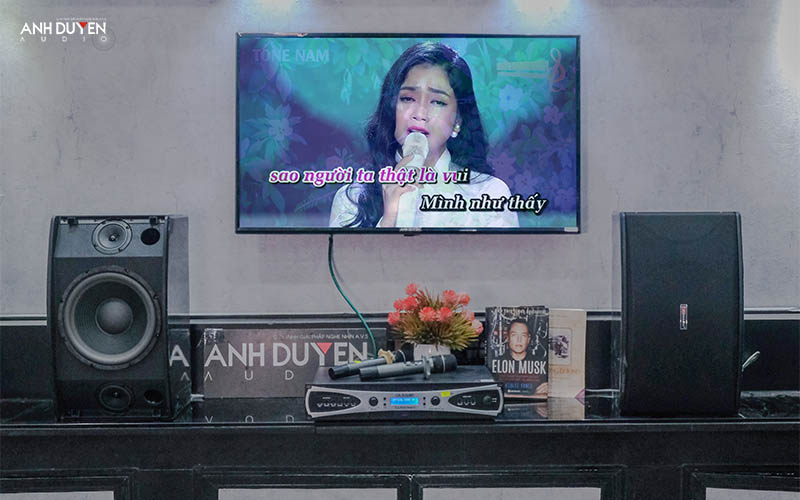 loa karaoke giá rẻ tại đà nẵng
