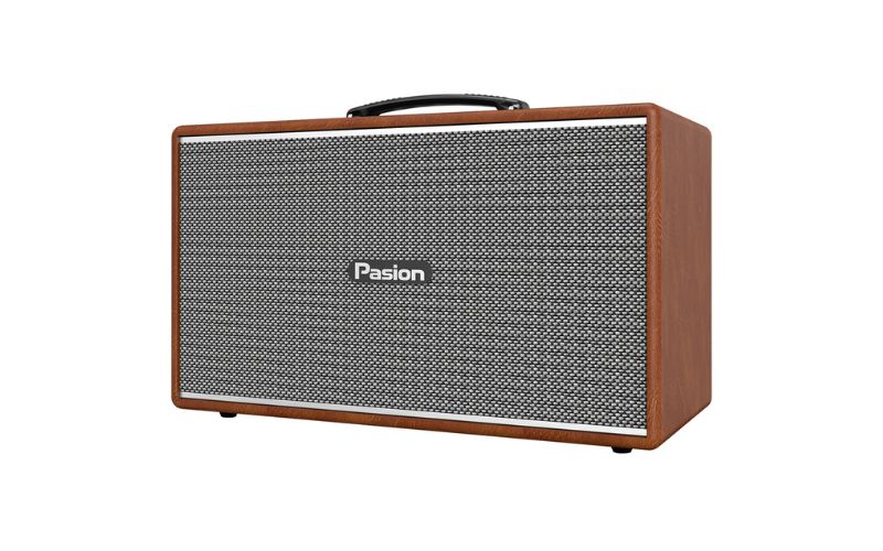 loa paramax pasion enzo chính hãng giá tốt