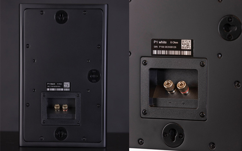 Loa Procella P1 Chính Hãng TẠI VIỆT NAM