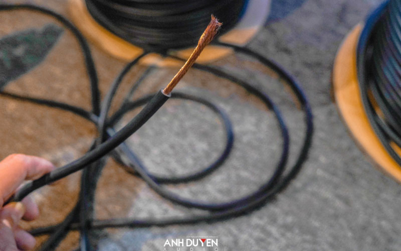 Dây tín hiệu Triokablo chính hãng - anhduyen audio 2