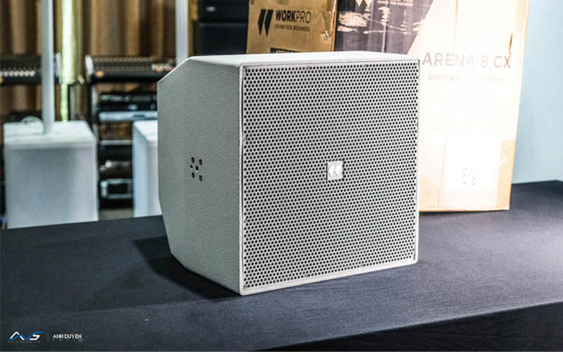 Loa Work Pro Arena 12 CX Chính Hãng Giá Tốt
