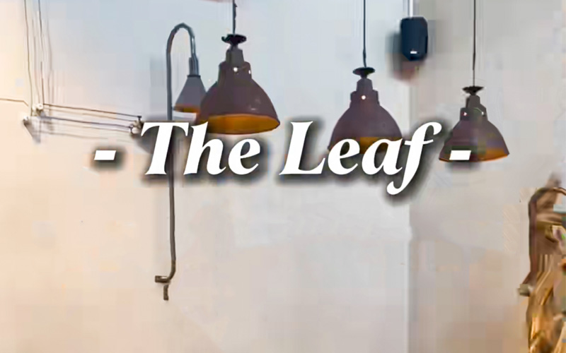 loa ams sono 155 line chính hãng