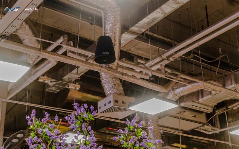 loa bose dm3p chính hãng giá tốt